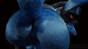 Your Lucario 2 POV