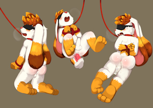 YCH for xcliber
