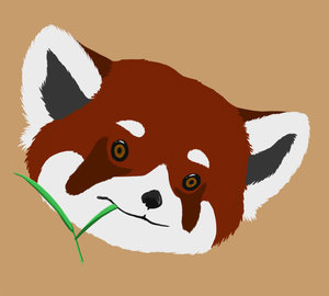 Red Panda Head