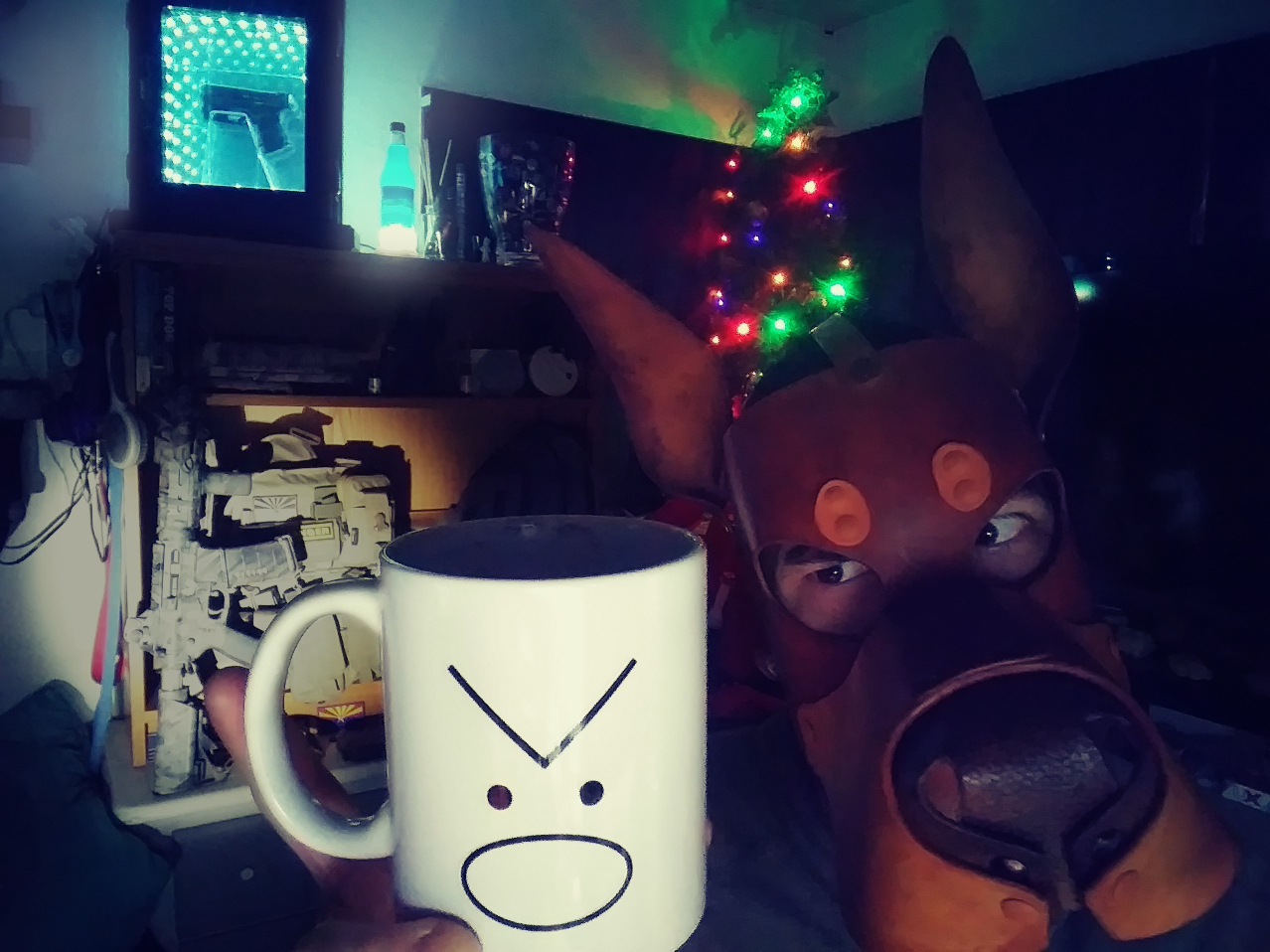 3400057_DangerDoberman_20201216_120053_film1.jpg