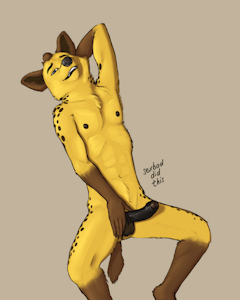 3409282_sexbad_2020-12-19_kasimir2b_sm.png