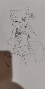 YCH Try harness