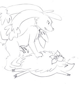 Shaymin Battle
