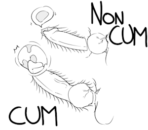 cum/noncum version ref sketch