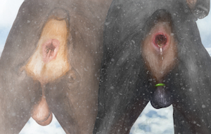 Snowballs