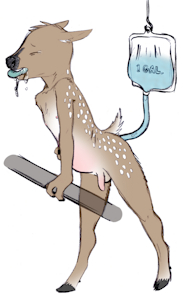Deer Boy Enema (Discipline)
