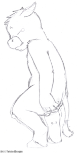 Discipline Sketches