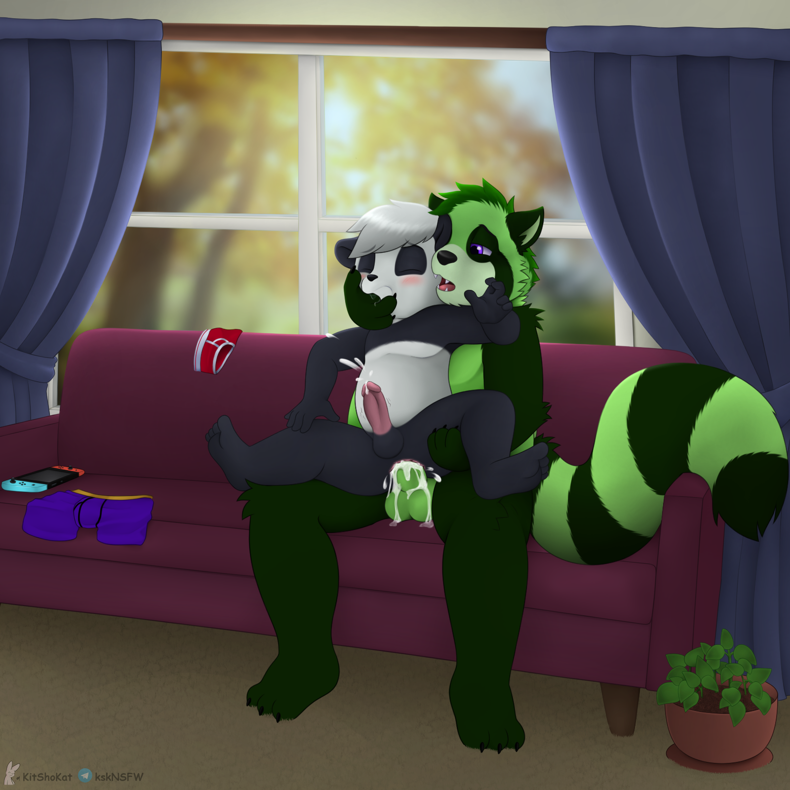 3437079_KitShoKat_2crop-alt.png