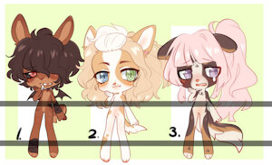 Adopt:Closed