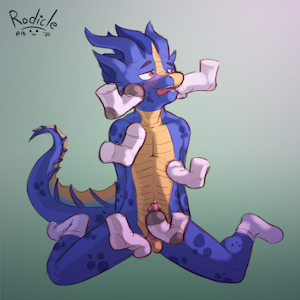 ($) Socks!
