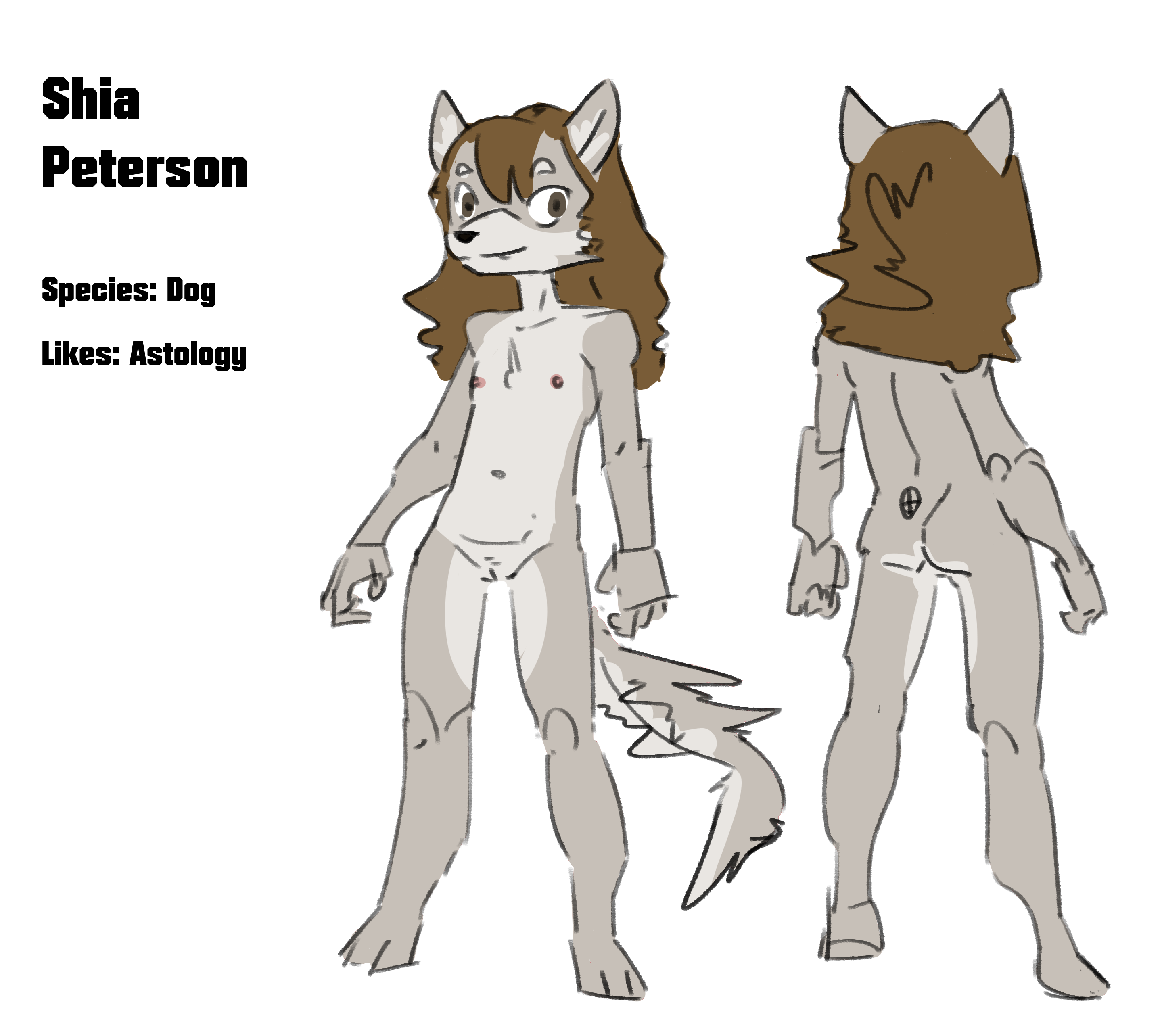 3456854_Neversoft_shia_peterson_-_2.ref.png