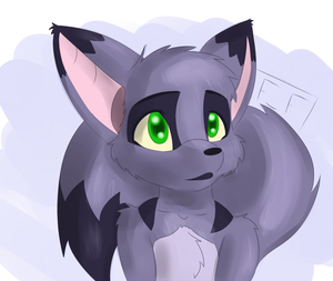 Zarki portrait