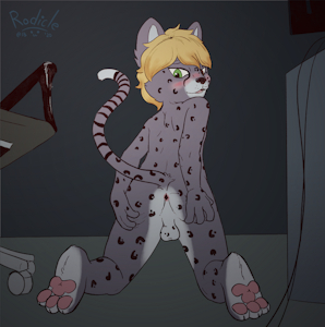 ($) Cam Cheetah 2