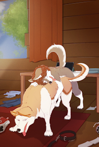 Cole and The Family Dog 02