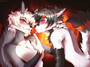 The Fox And The Wolf