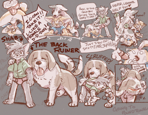 A Variety Of Various Things!