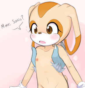 Cream the Rabbit🥕