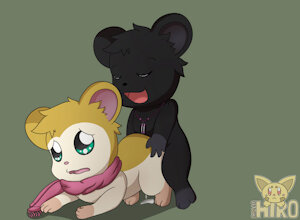 Pashima X Shadow