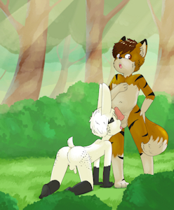 what a strange forest...