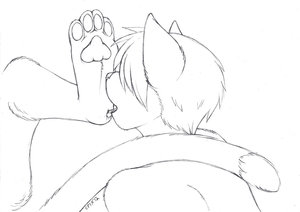 Extra - Let's Just Paws Here A Moment