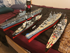 Cobi Fleet