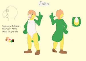 3538418_SilasCattus_joao_-_g_version.png
