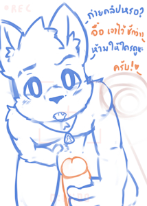 DOODLE  Why are you record ?