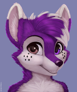BassoFox Portrait