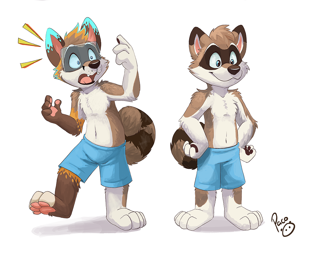3542194_pandapaco_08huscoon_tf02.png