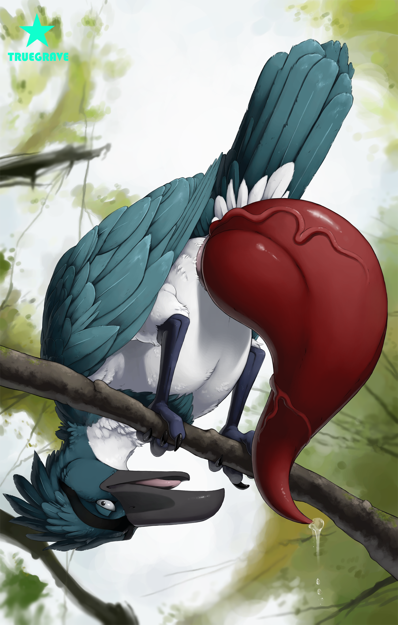 3543321_Truegrave9_plover_peek-a-boo_huge_cock_final_color_small.png