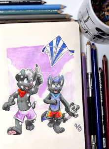 Kite Flying