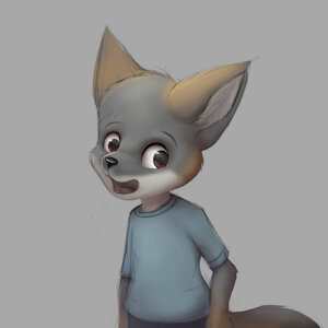Little gray fox
