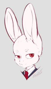 White Rabbit