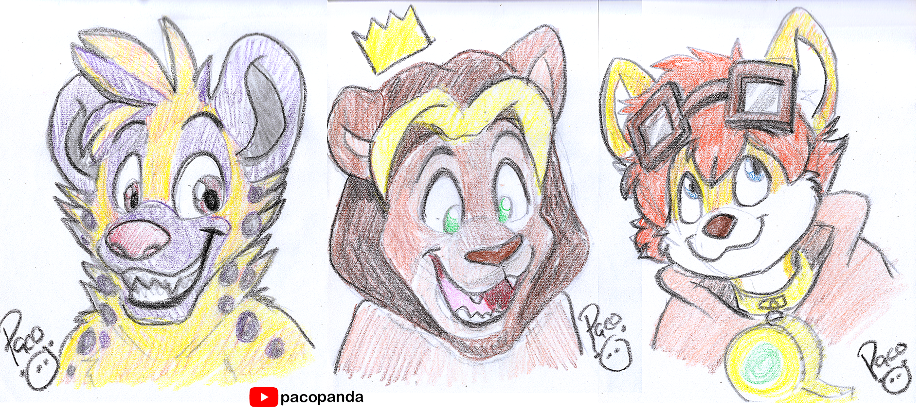 3559432_pandapaco_900doodlesforcharity.png