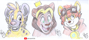 3559432_pandapaco_900doodlesforcharity.png