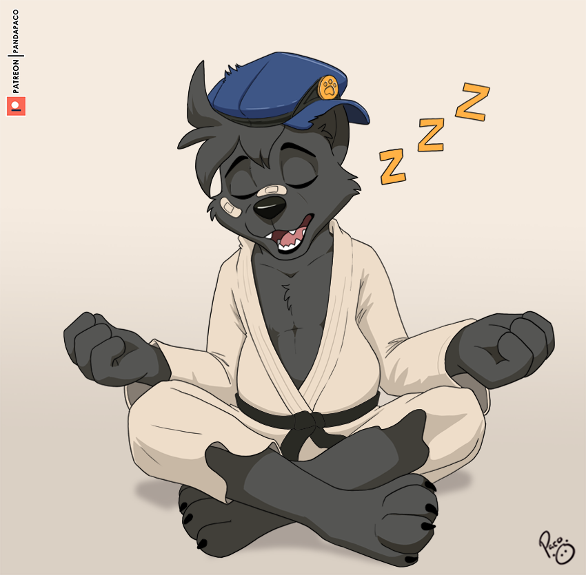 3559435_pandapaco_903kaito.png