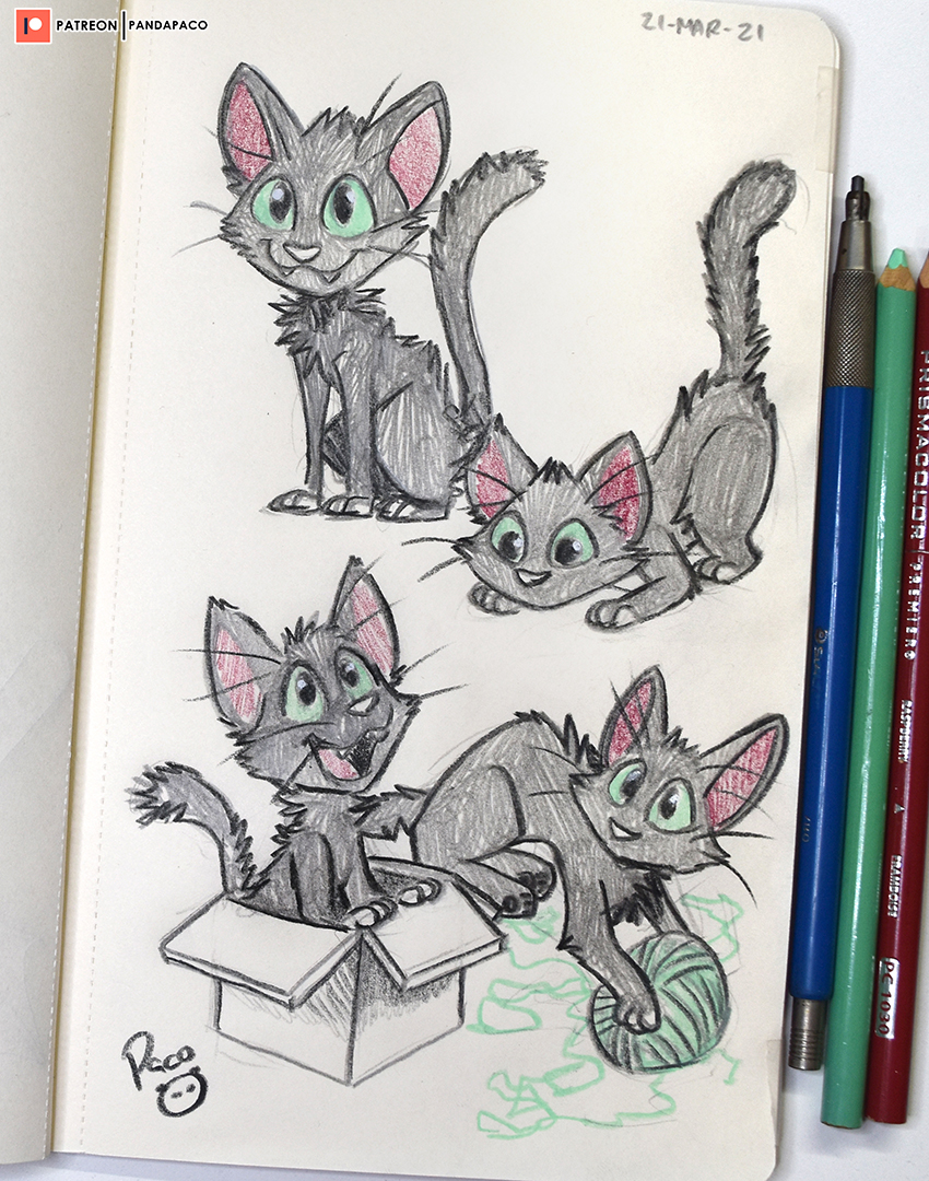 3559440_pandapaco_908rook_the_cat_photo.jpg