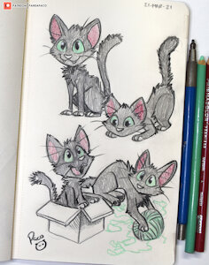 3559440_pandapaco_908rook_the_cat_photo.jpg