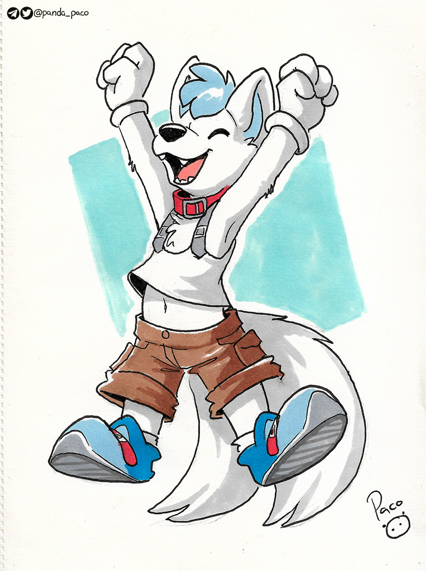 3559443_pandapaco_911jordan2021.png