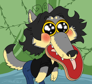 Zooshi the wolf boy