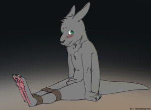 Bound Roo