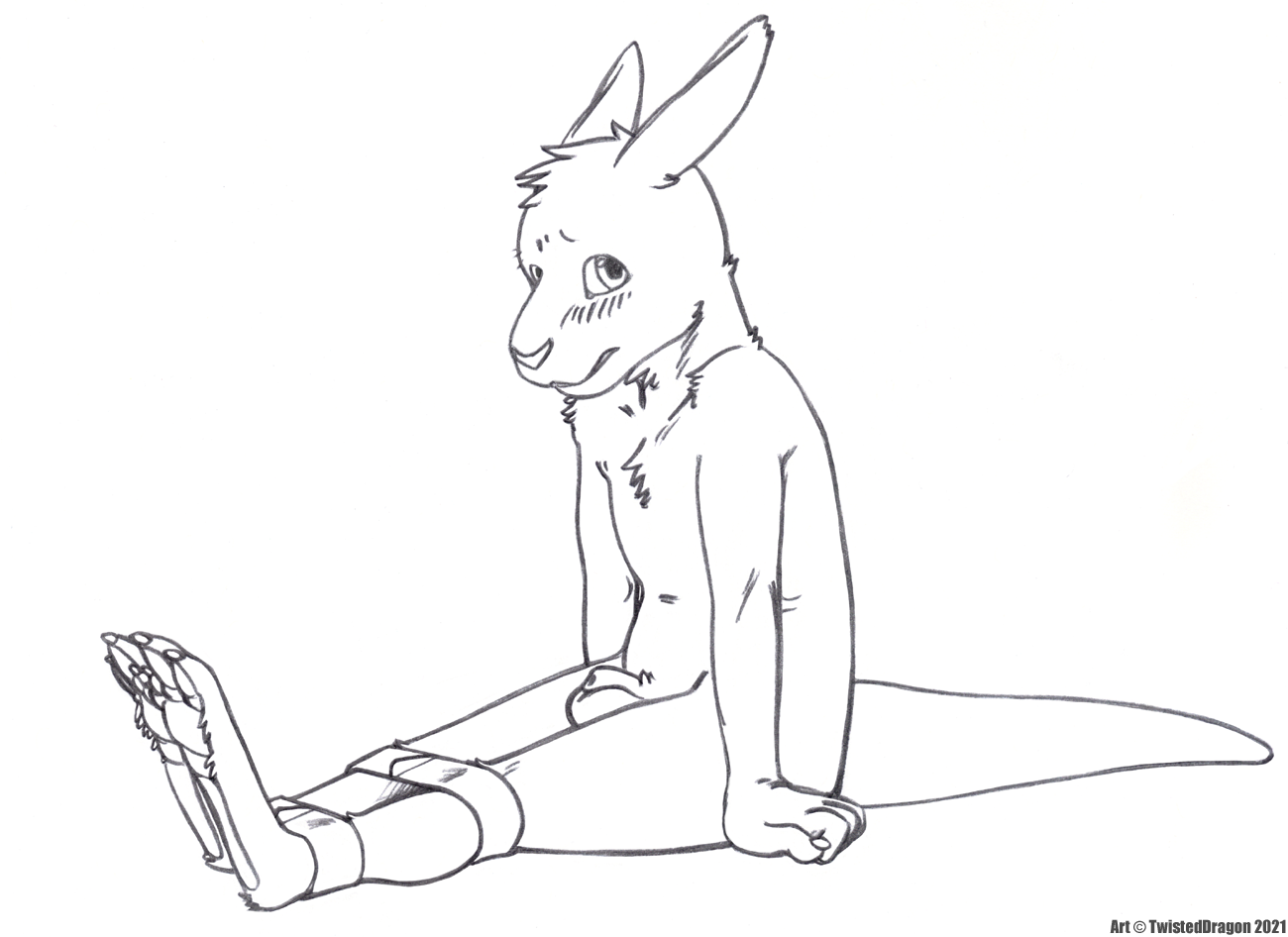 3567781_TwistedDragon_roodboundbw.png