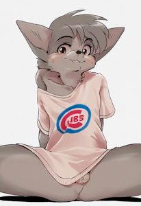 Cubs Interlude!