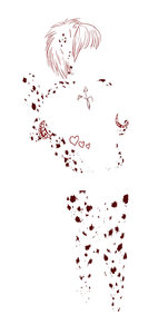 313466_Spix_kitani_donation_2.jpg