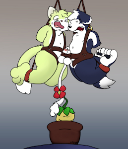 Mandrake fertiliser