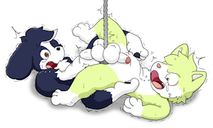 Hanging Lasso