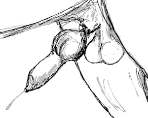 suck them dry. [sketch]