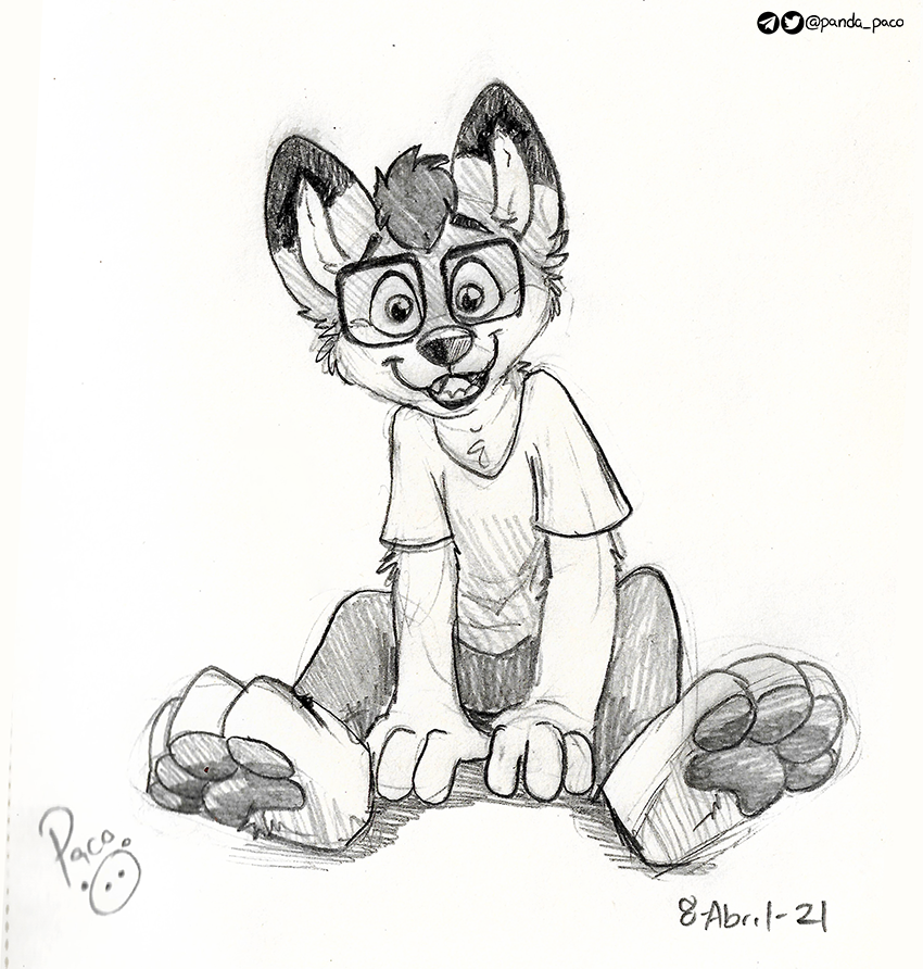 3610134_pandapaco_916cugaru.png