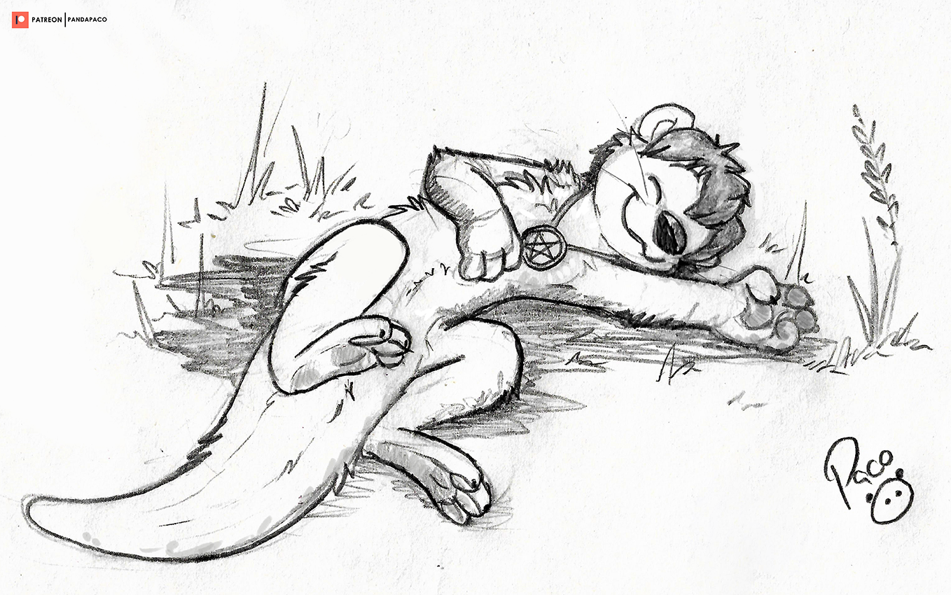 3610138_pandapaco_919sleeping.png
