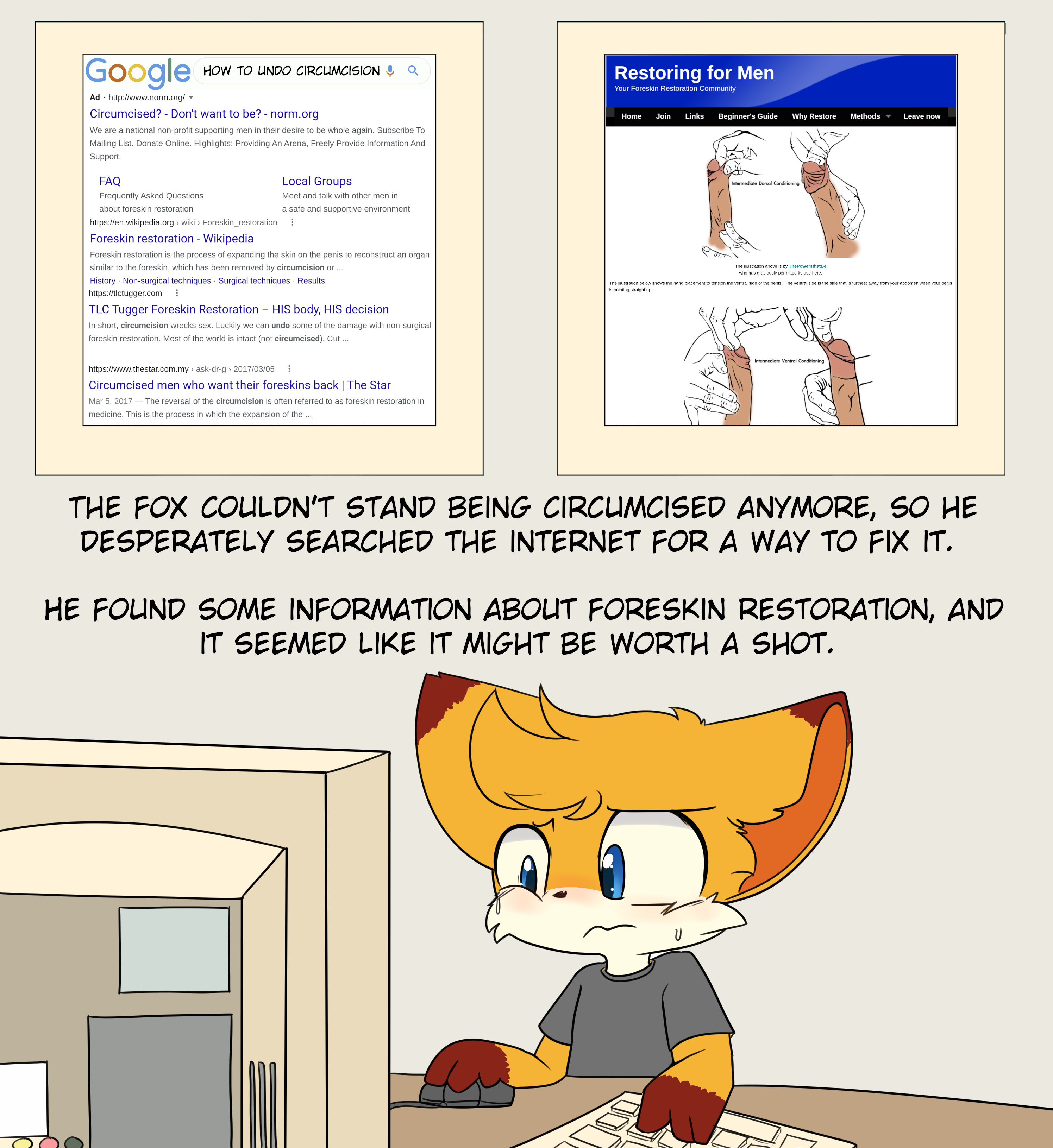 3612732_katsureitan_003-research.png